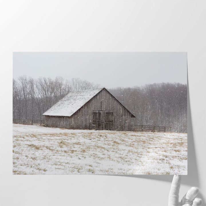 First Snow - Canvas Print Wall Art