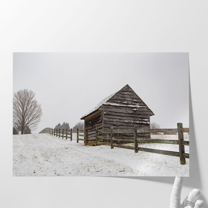 Coming to the Barn - Canvas Print Wall Art