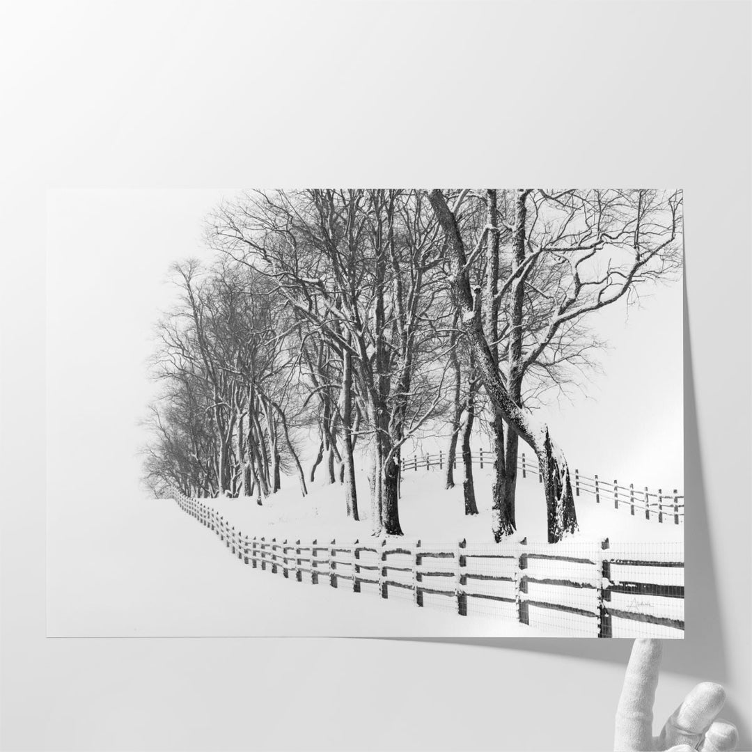 Winter Wonderland - Canvas Print Wall Art