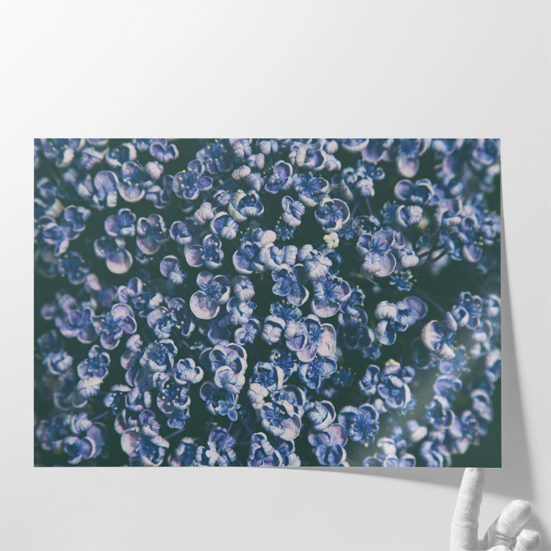 Lilac Closeup - Canvas Print Wall Art