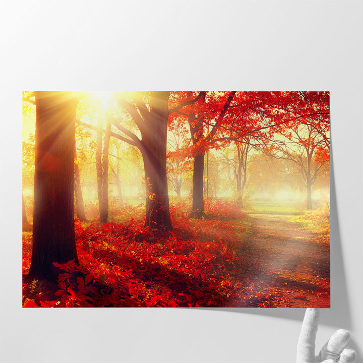 Autumn Mist Grove - Canvas Print Wall Art