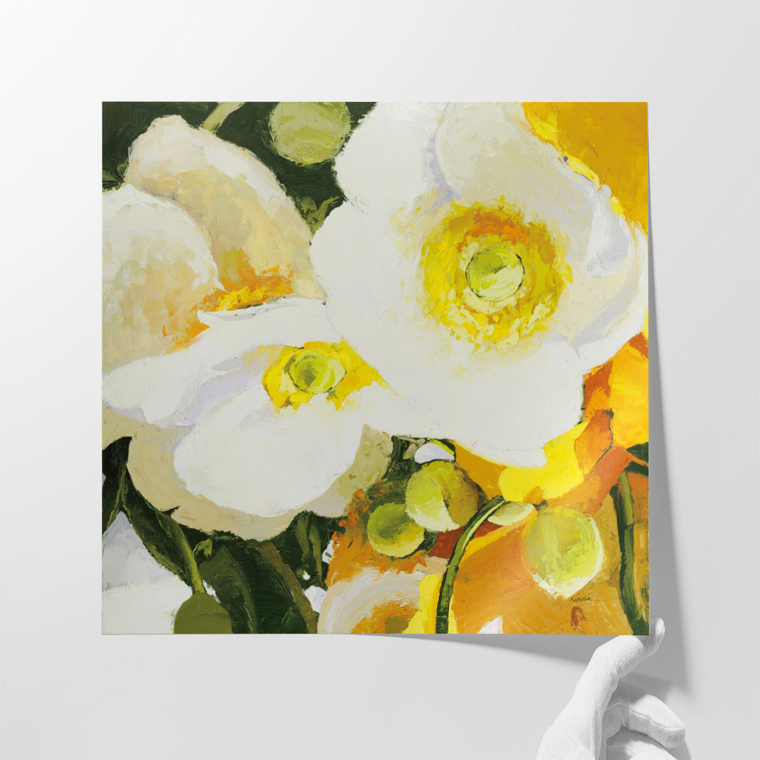 White Anemones Up Close - Canvas Print Wall Art