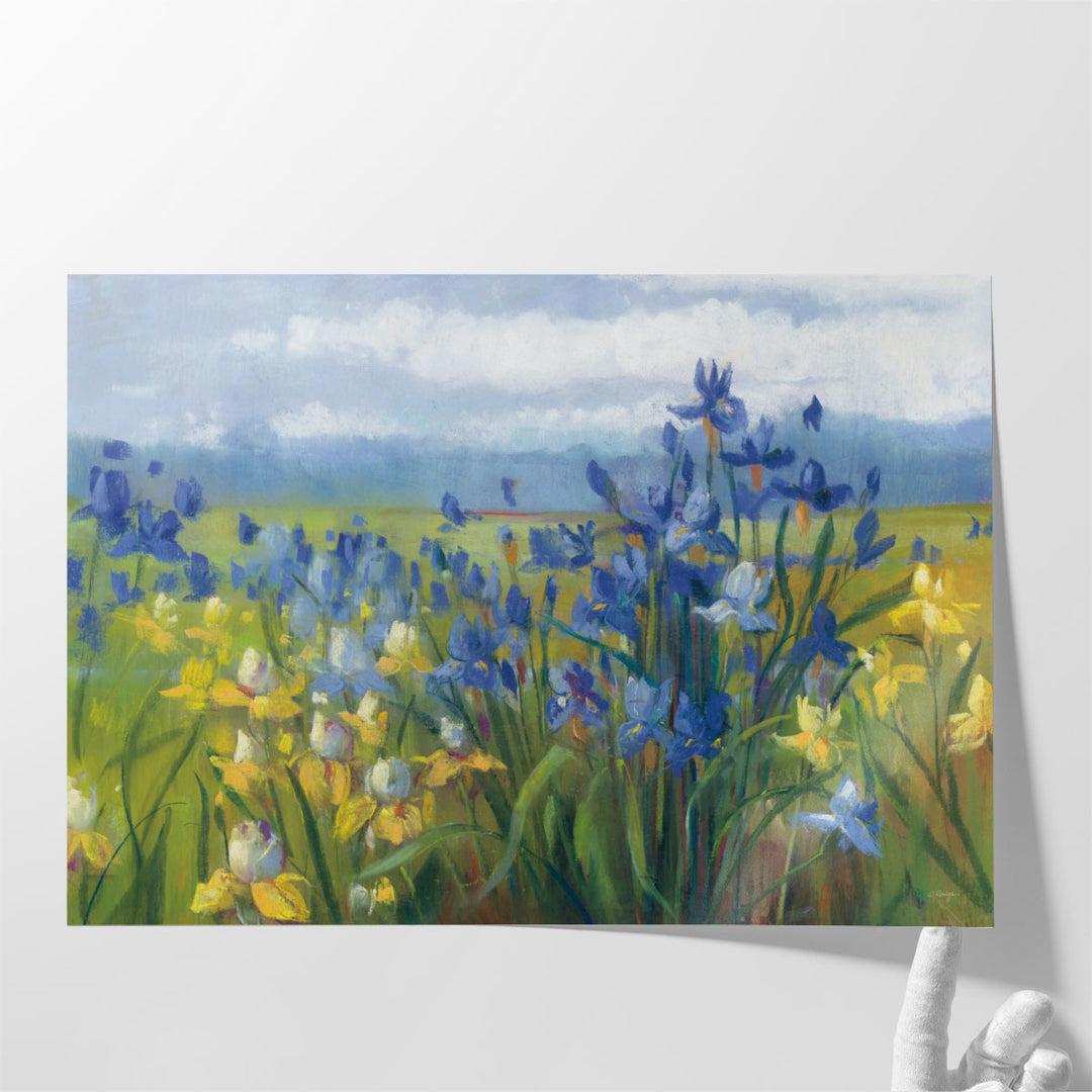 Blue and Yellow Flower Field - Canvas Print Wall Art