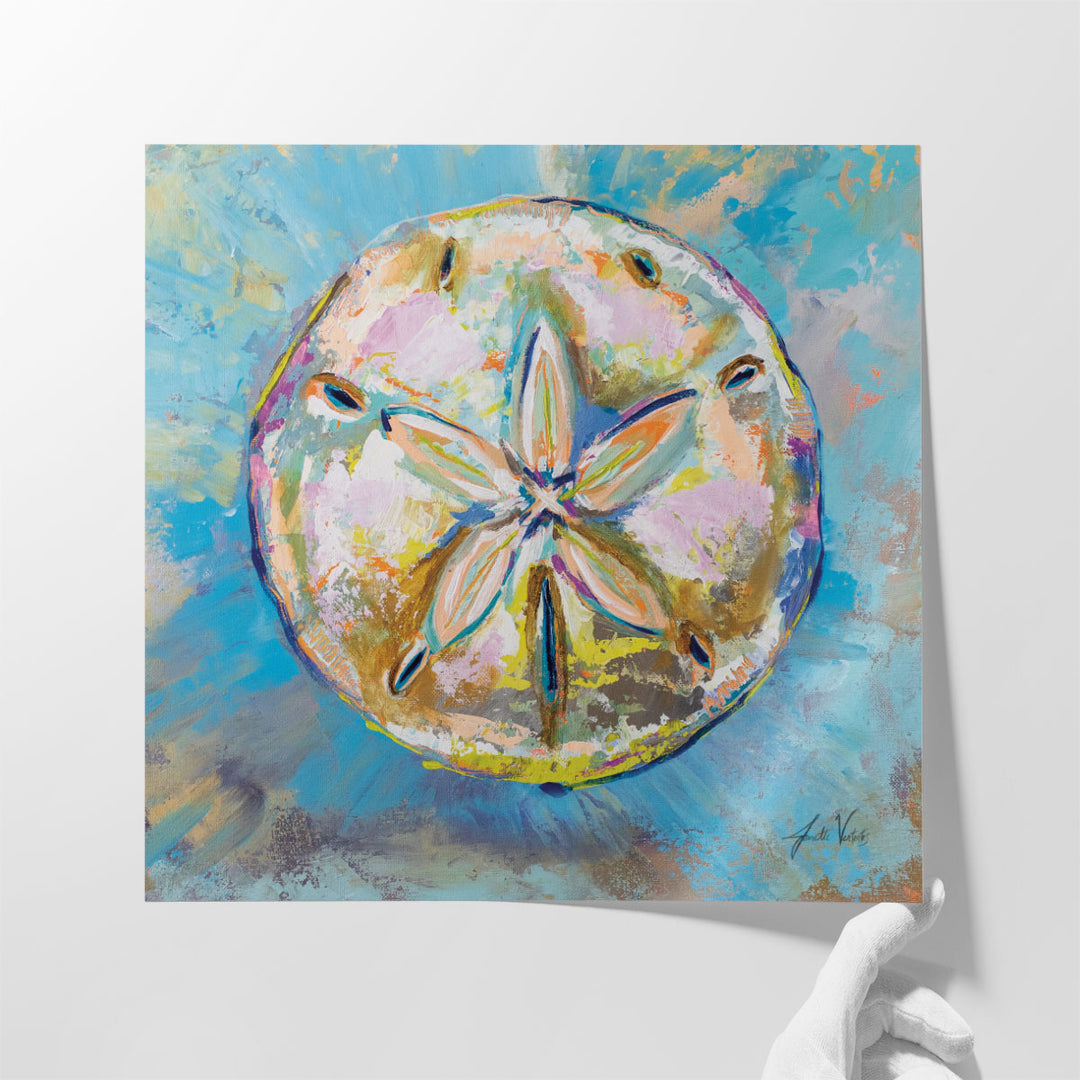 Sand Dollar - Canvas Print Wall Art