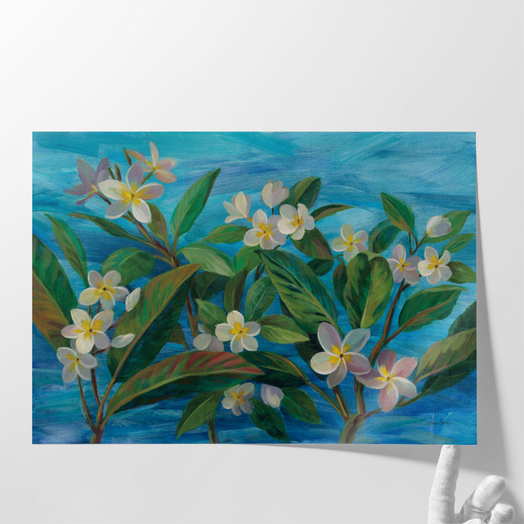 Oceanside Plumeria - Canvas Print Wall Art