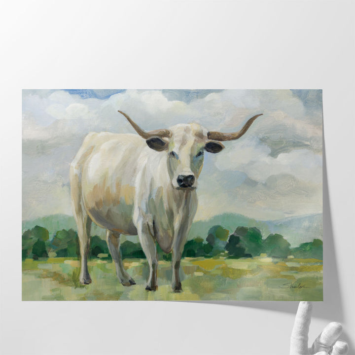 White Longhorn Cow - Canvas Print Wall Art