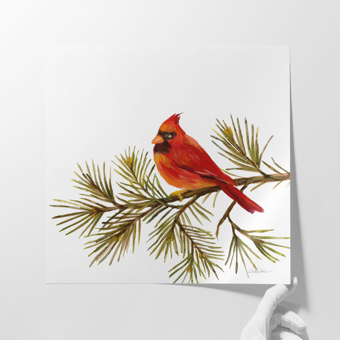 Cardinal Christmas V - Canvas Print Wall Art