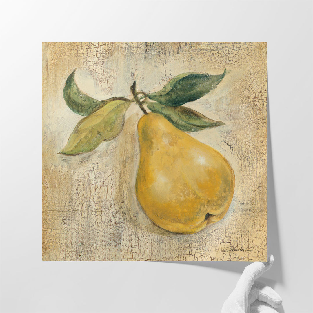 French Pear - Canvas Print Wall Art