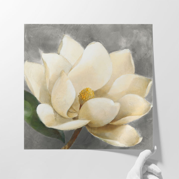 Magnolia Blossom - Canvas Print Wall Art