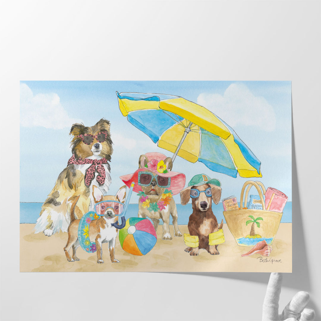 Summer Paws I - Canvas Print Wall Art