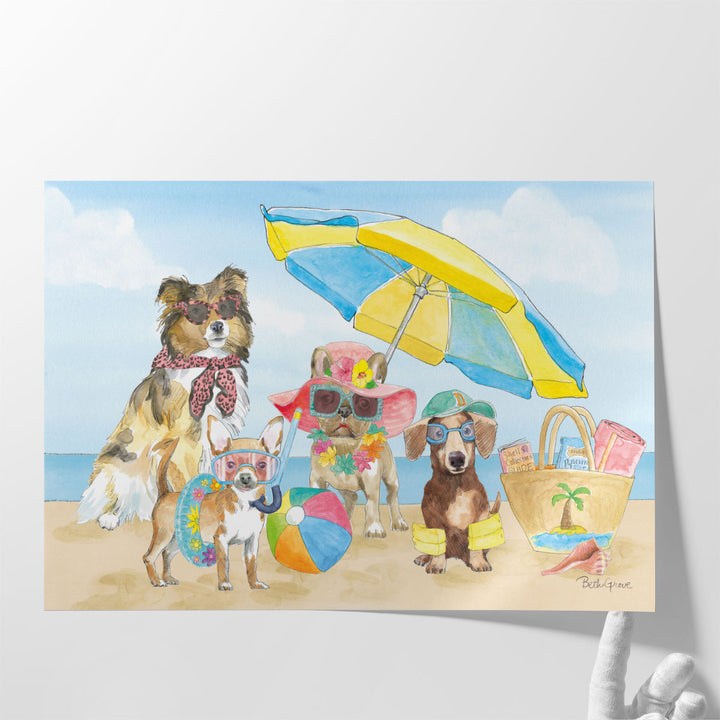 Summer Paws I - Canvas Print Wall Art