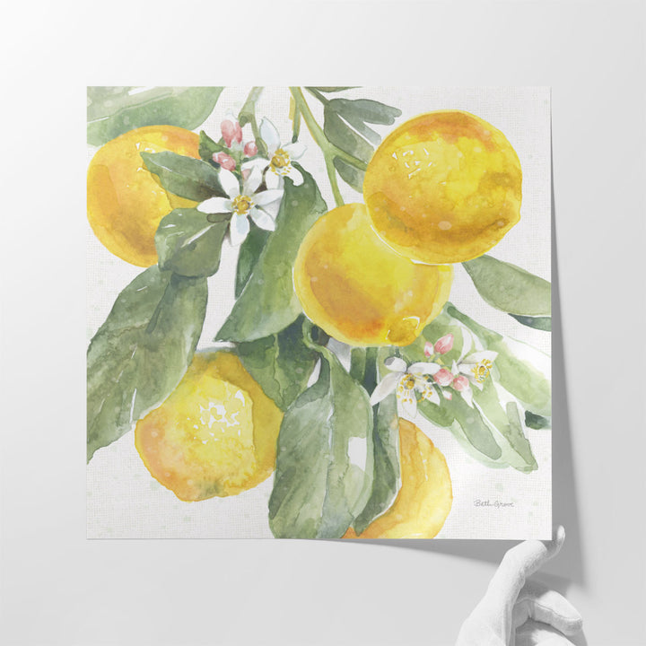 Citrus Charm Lemons II - Canvas Print Wall Art