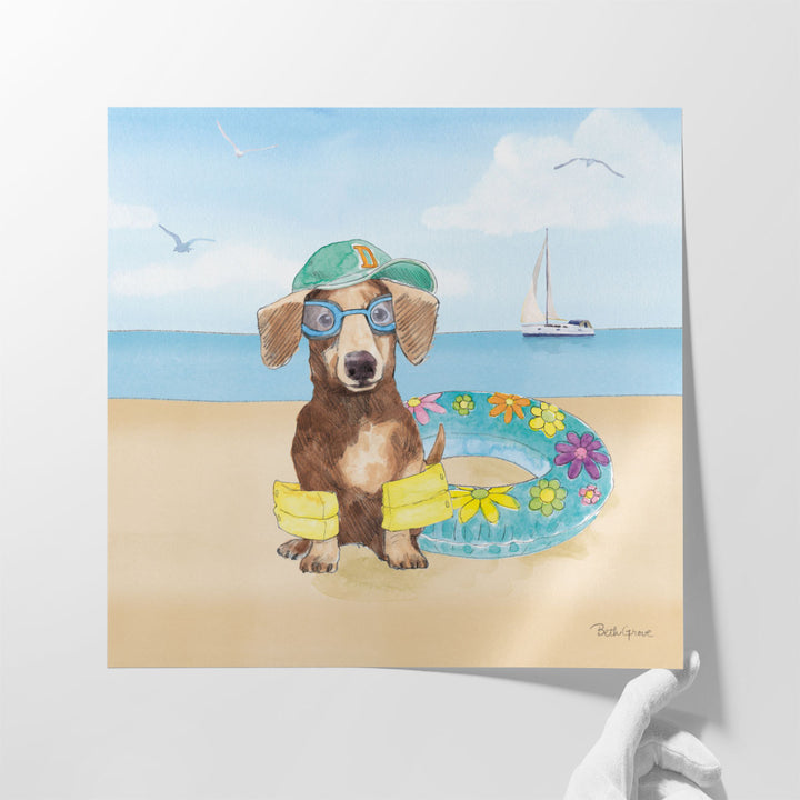 Summer Paws III - Canvas Print Wall Art