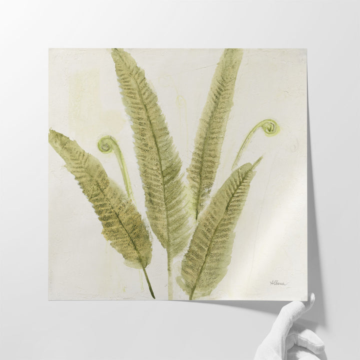 Forest Ferns II - Canvas Print Wall Art