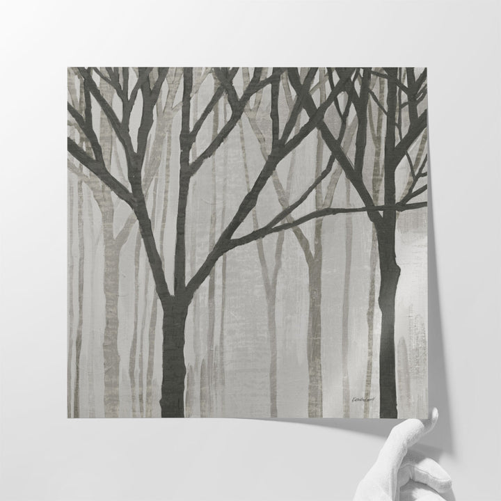 Spring Trees Greystone III Black and White - Canvas Print Wall Art