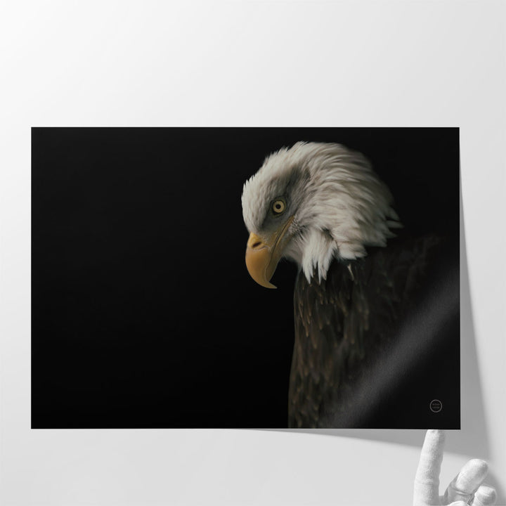 Eagle Bow Black and White - Canvas Print Wall Art