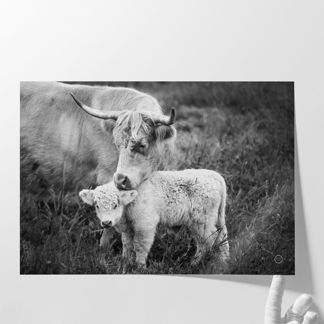 Cow Care Black and White - Canvas Print Wall Art