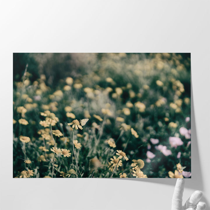 Field Friends Fade - Canvas Print Wall Art