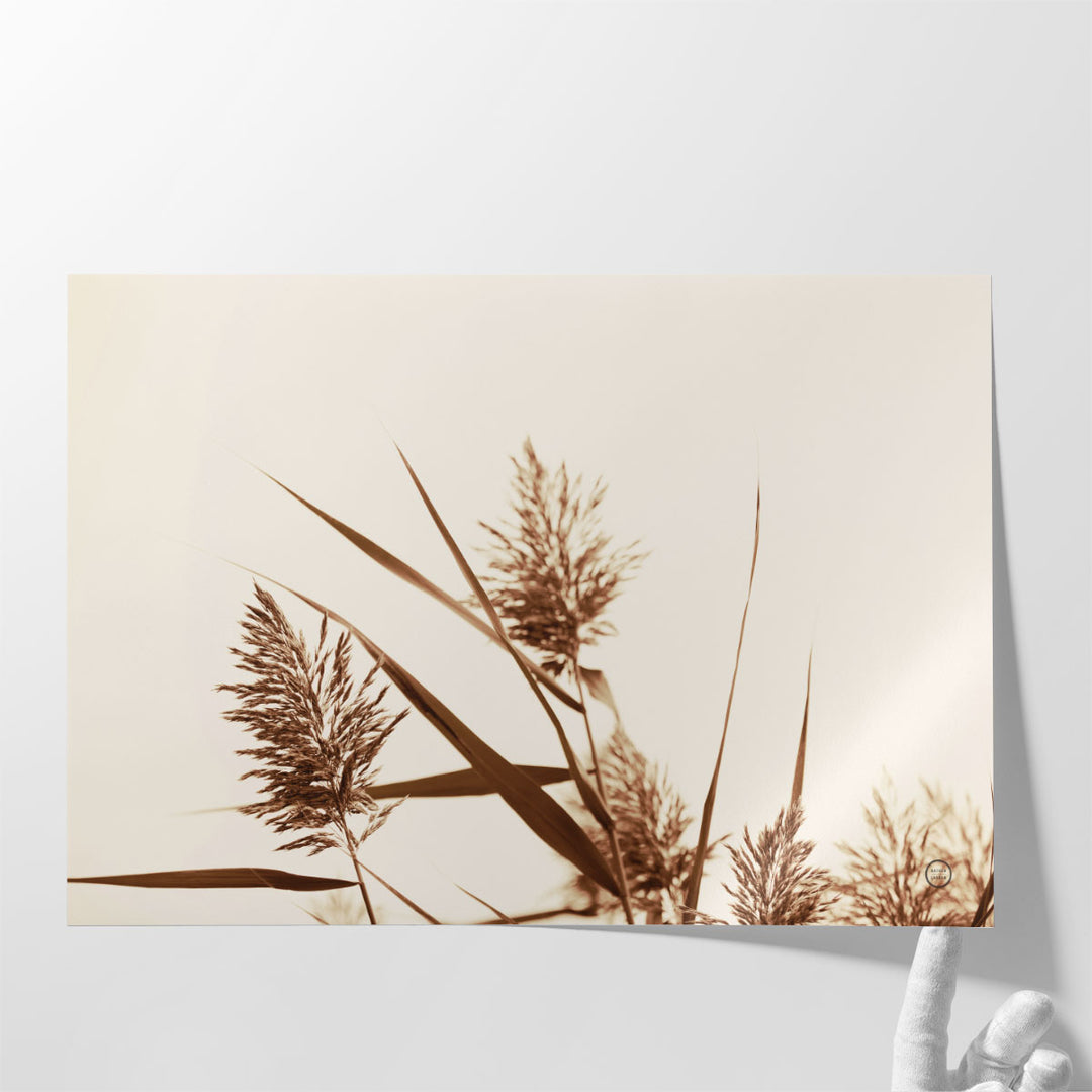 Country Grasses I - Canvas Print Wall Art