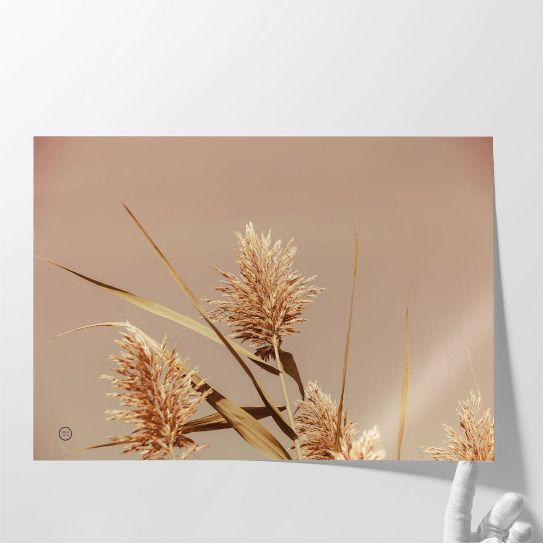 Noon Grasses III - Canvas Print Wall Art