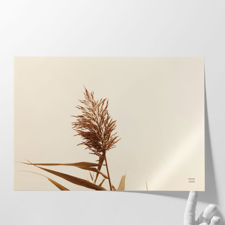 Summer Reeds I - Canvas Print Wall Art