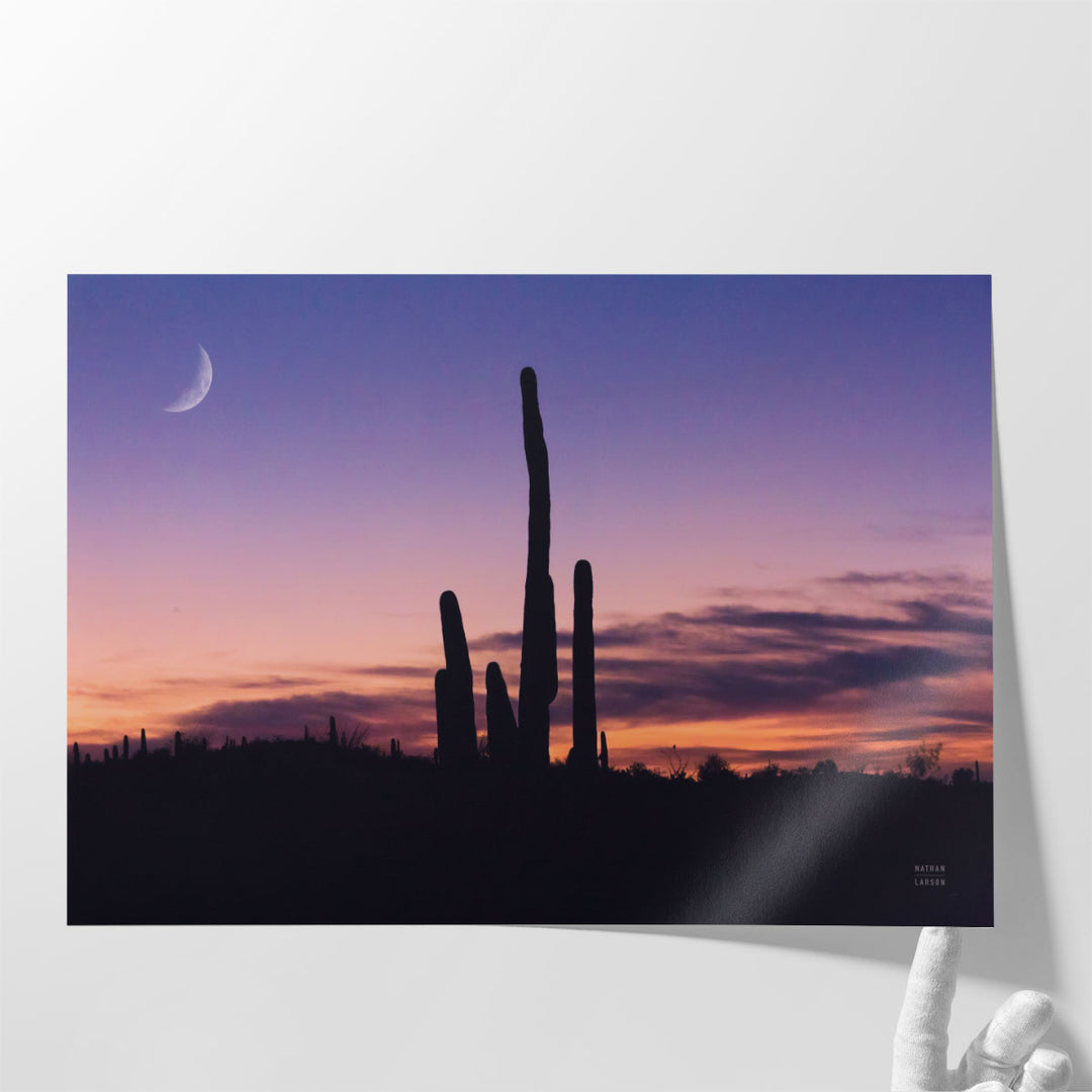 Desert Moons - Canvas Print Wall Art