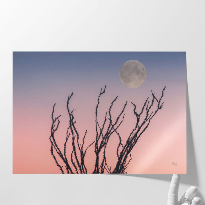 Reaching Up Moon - Canvas Print Wall Art