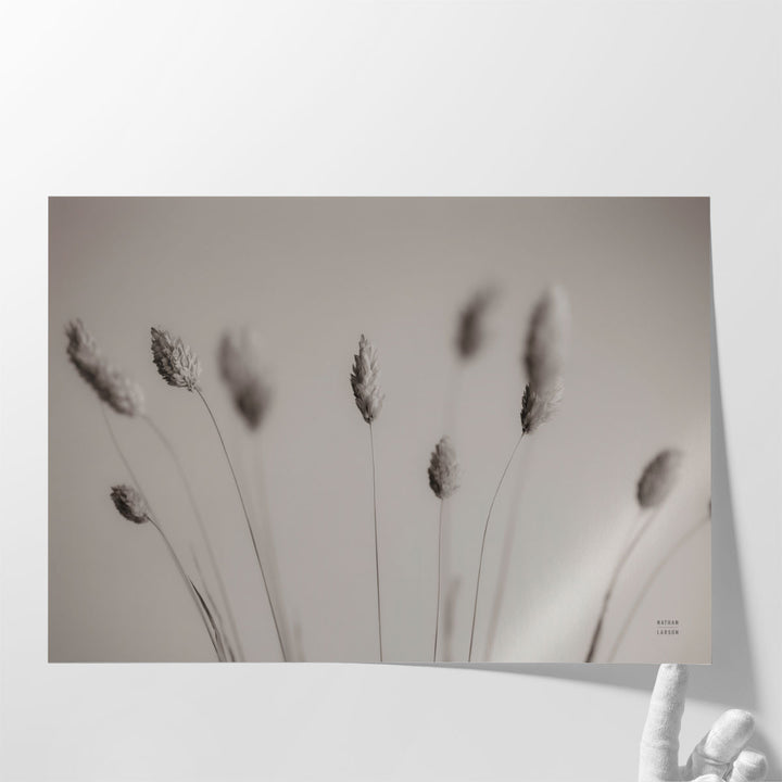 Natural Grasses - Canvas Print Wall Art