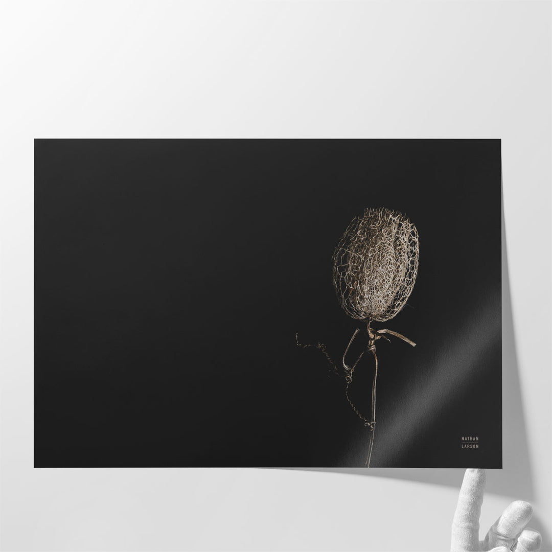 The Flower - Canvas Print Wall Art