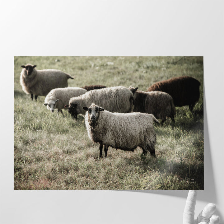 Pastures - Canvas Print Wall Art