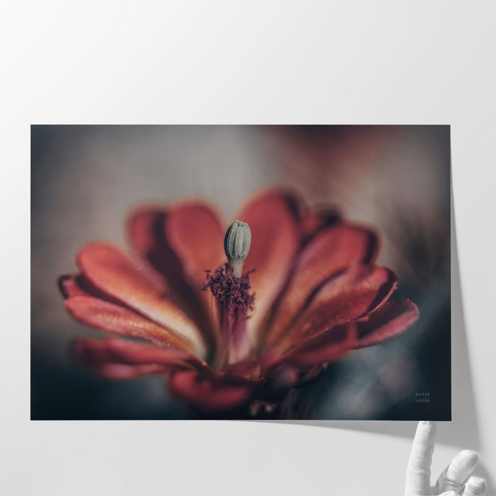 Elevation Bloom - Canvas Print Wall Art