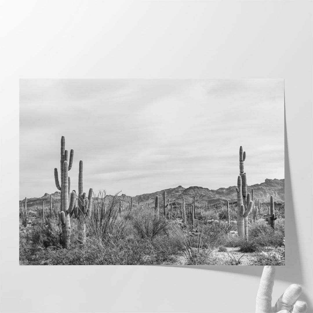 Sonoran Wonderland Black and White - Canvas Print Wall Art