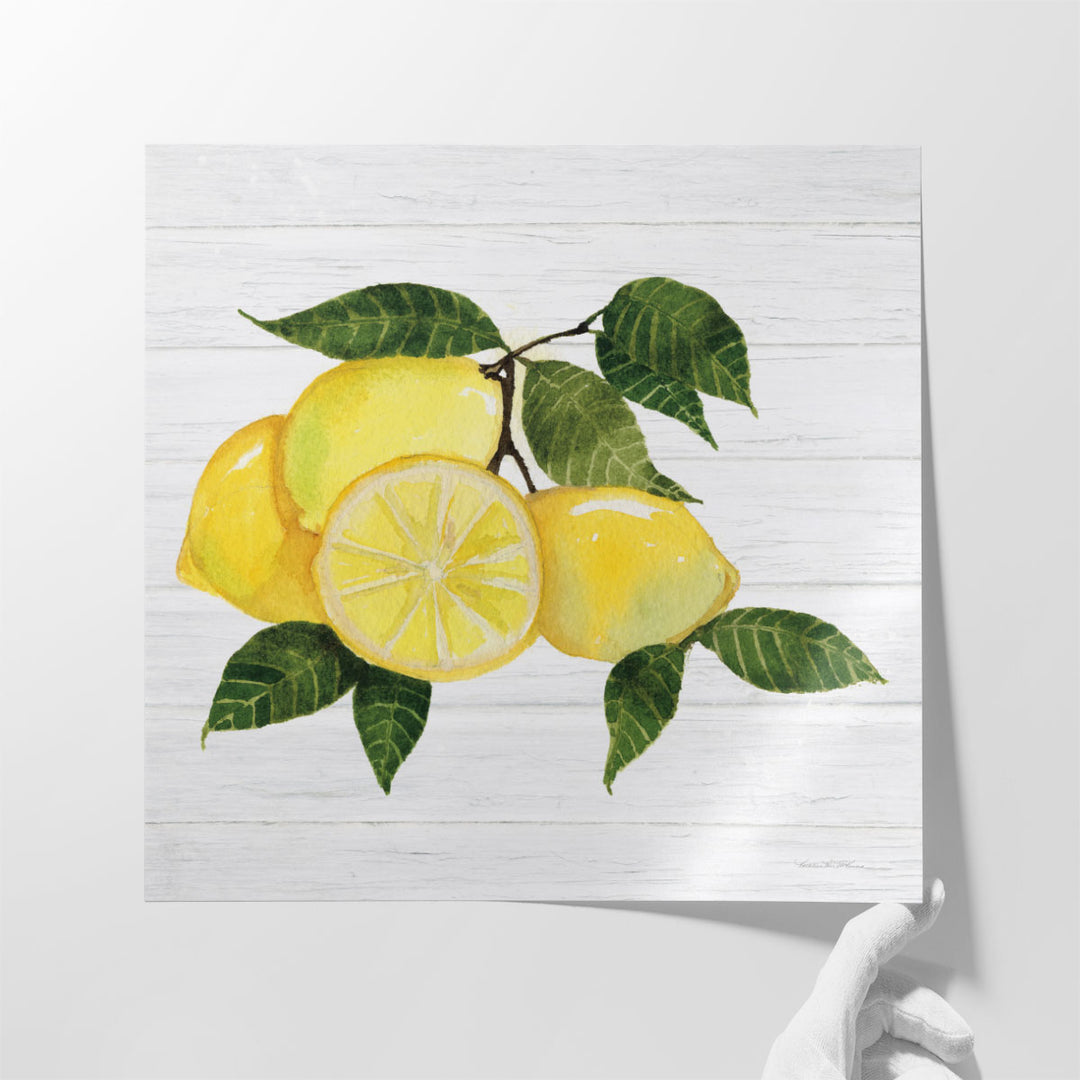 Citrus Garden VI Shiplap - Canvas Print Wall Art