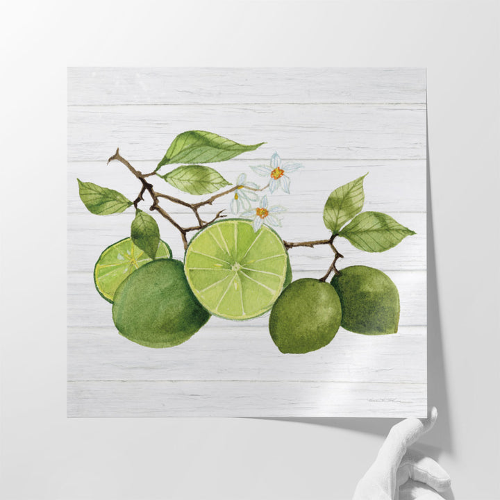 Citrus Garden VII Shiplap - Canvas Print Wall Art