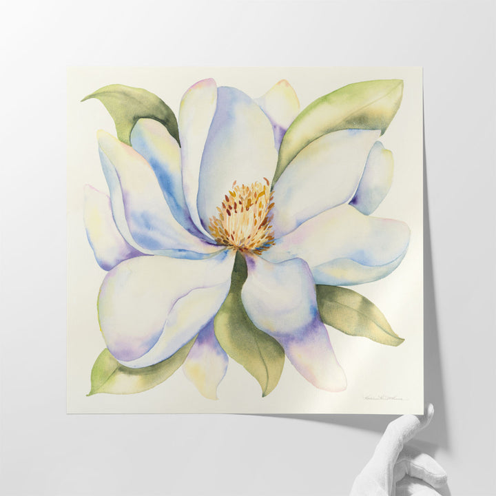 Magnolia - Canvas Print Wall Art