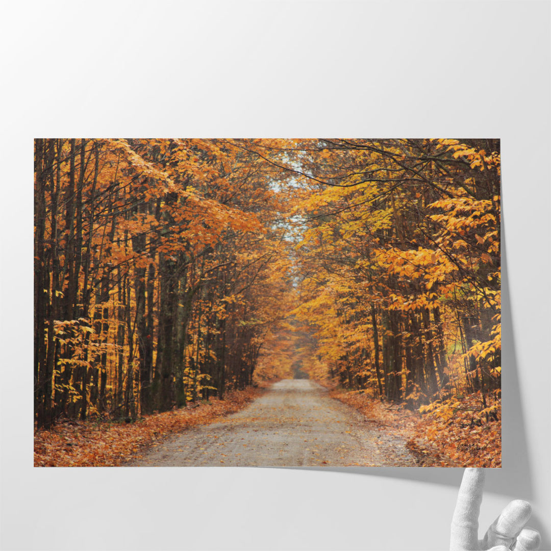 Autumn Country Road - Canvas Print Wall Art