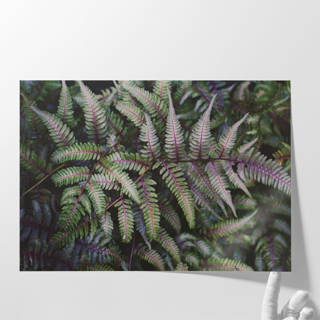 Funky Ferns IV - Canvas Print Wall Art