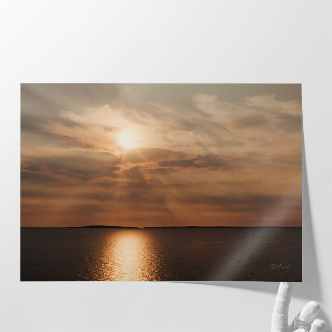 Morning Spotlight - Canvas Print Wall Art