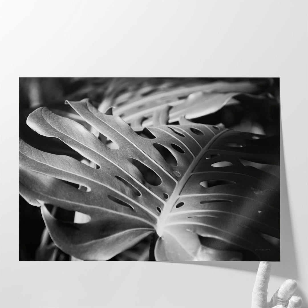 Philodendron - Canvas Print Wall Art