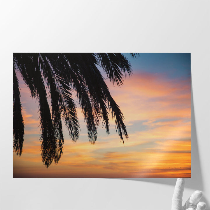 Sunset Palms I - Canvas Print Wall Art