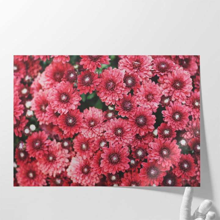 Autumn Flowers I - Canvas Print Wall Art