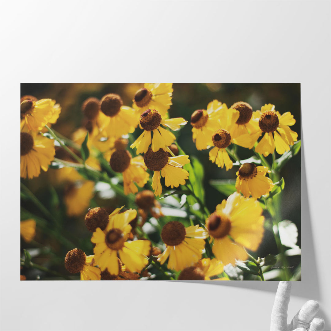 Autumn Flowers II - Canvas Print Wall Art