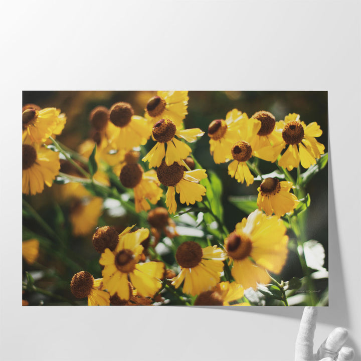 Autumn Flowers II - Canvas Print Wall Art