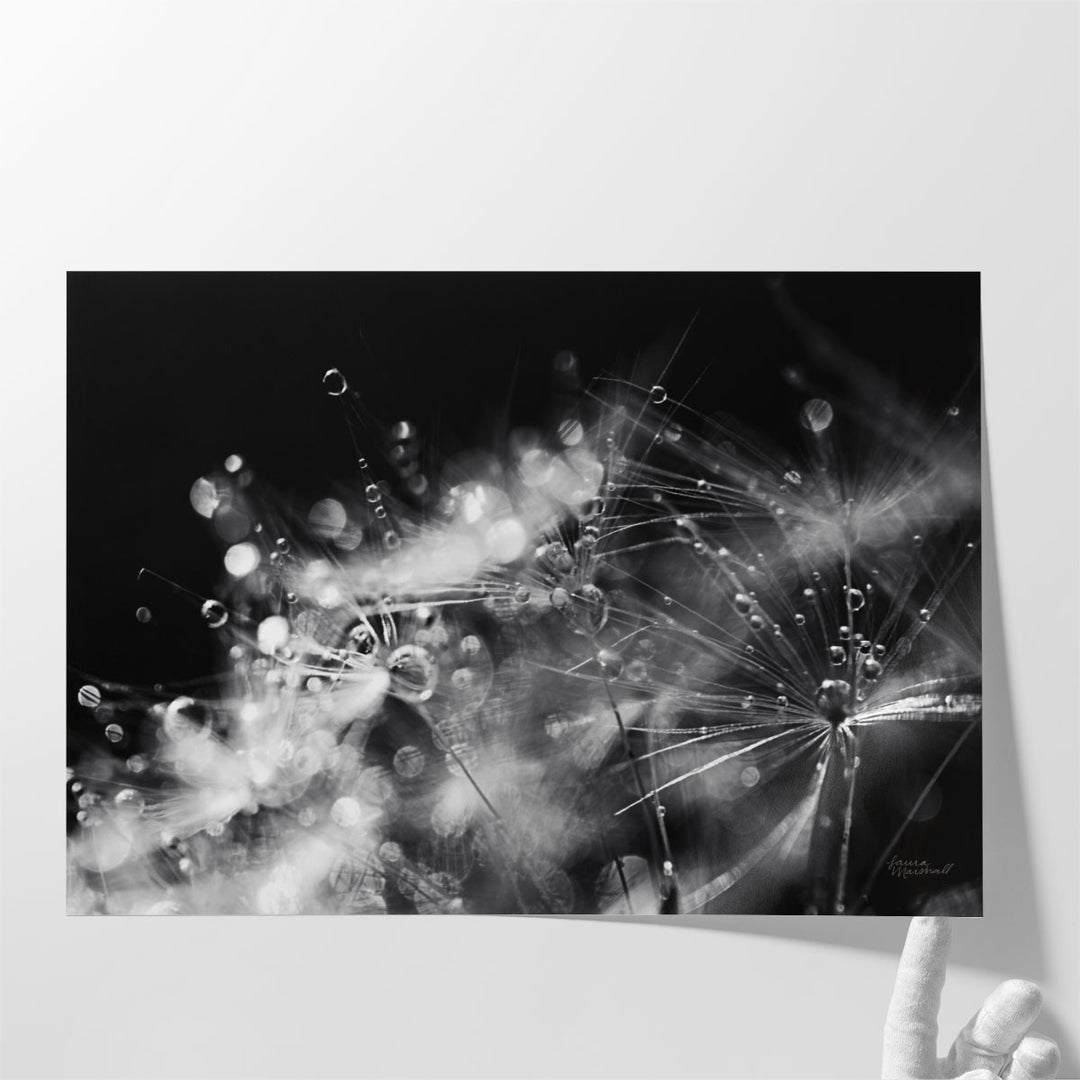 Dandelion Abstract II - Canvas Print Wall Art