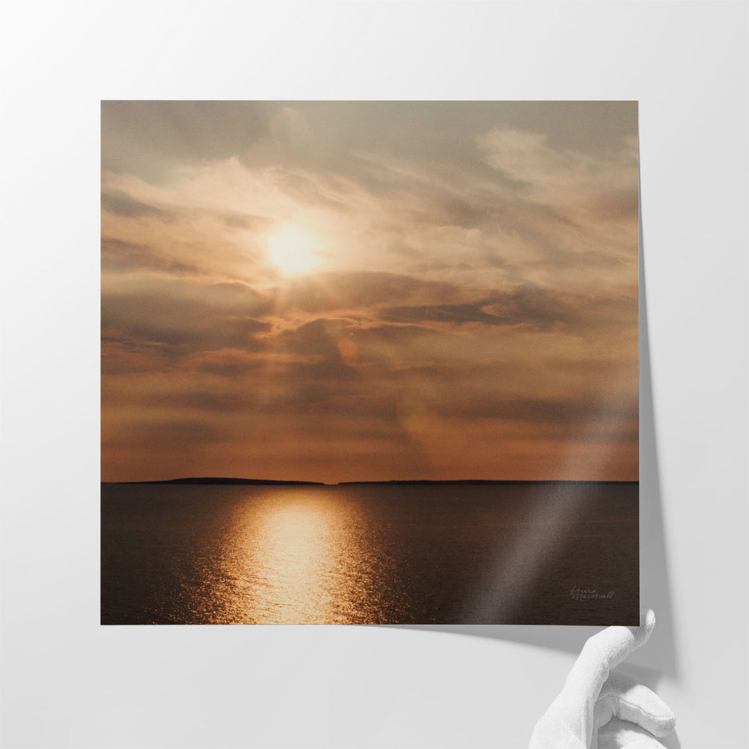 Morning Spotlight 2 - Canvas Print Wall Art