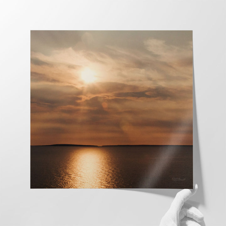 Morning Spotlight - Canvas Print Wall Art