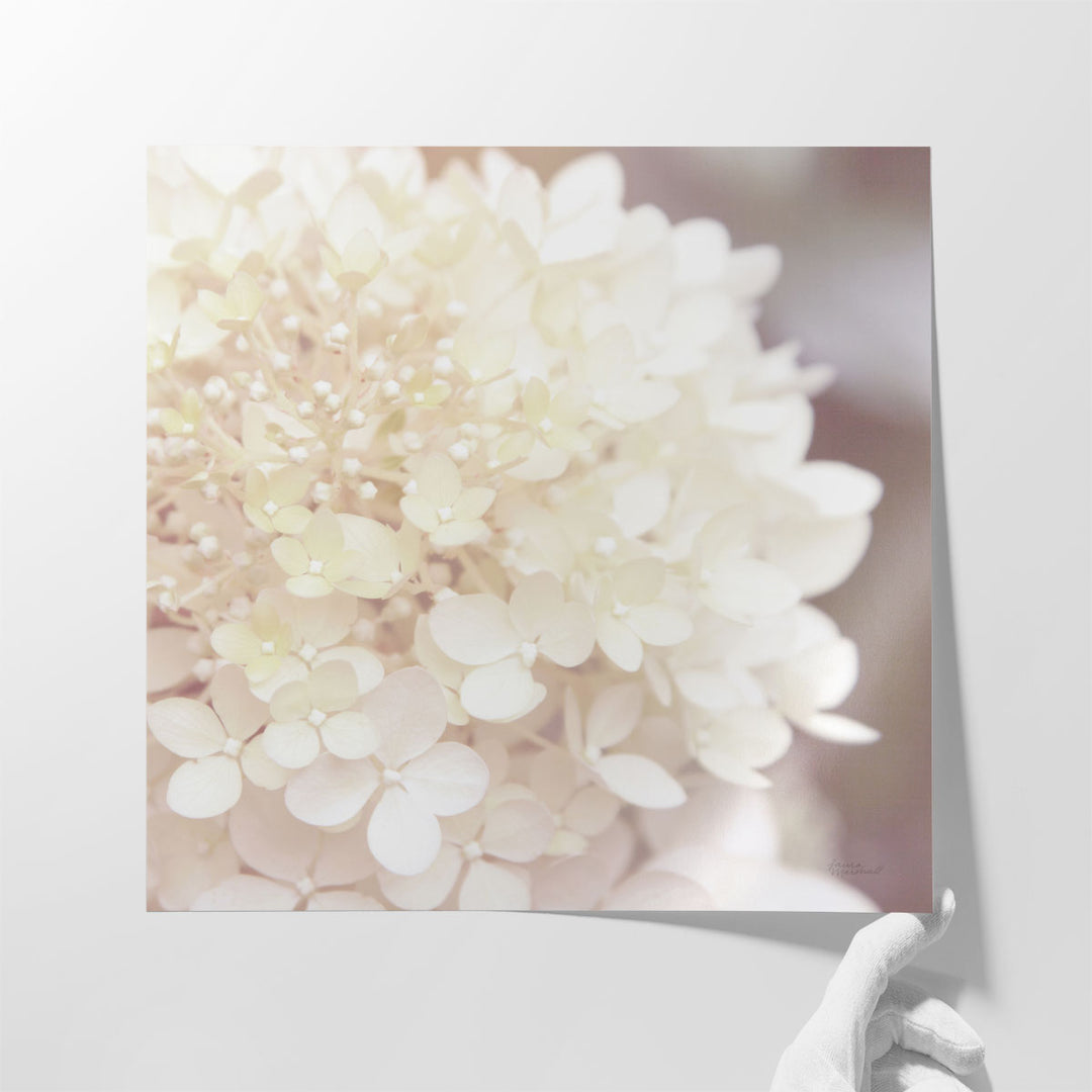 Hydrangea Dream I - Canvas Print Wall Art