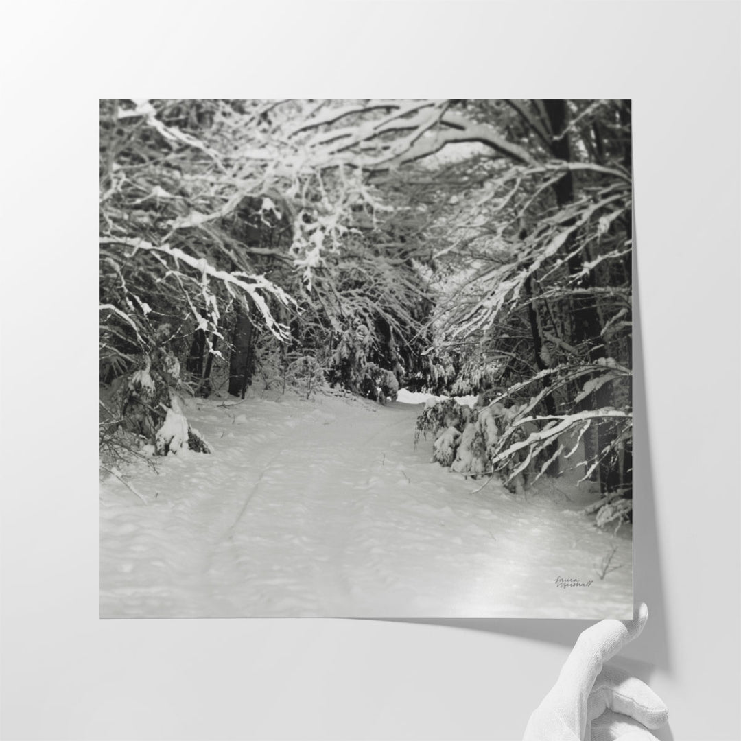 Snowed In - Canvas Print Wall Art