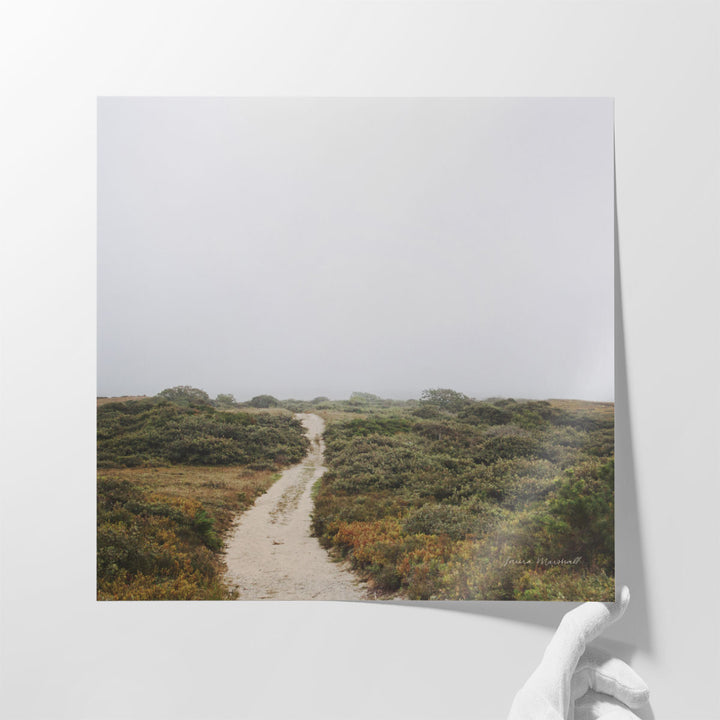 Off the Beaten Path - Canvas Print Wall Art