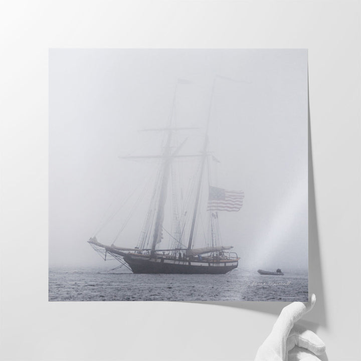 Through the Mist - Canvas Print Wall Art